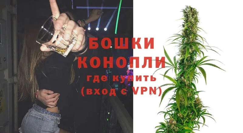 Бошки марихуана SATIVA & INDICA  Дигора 